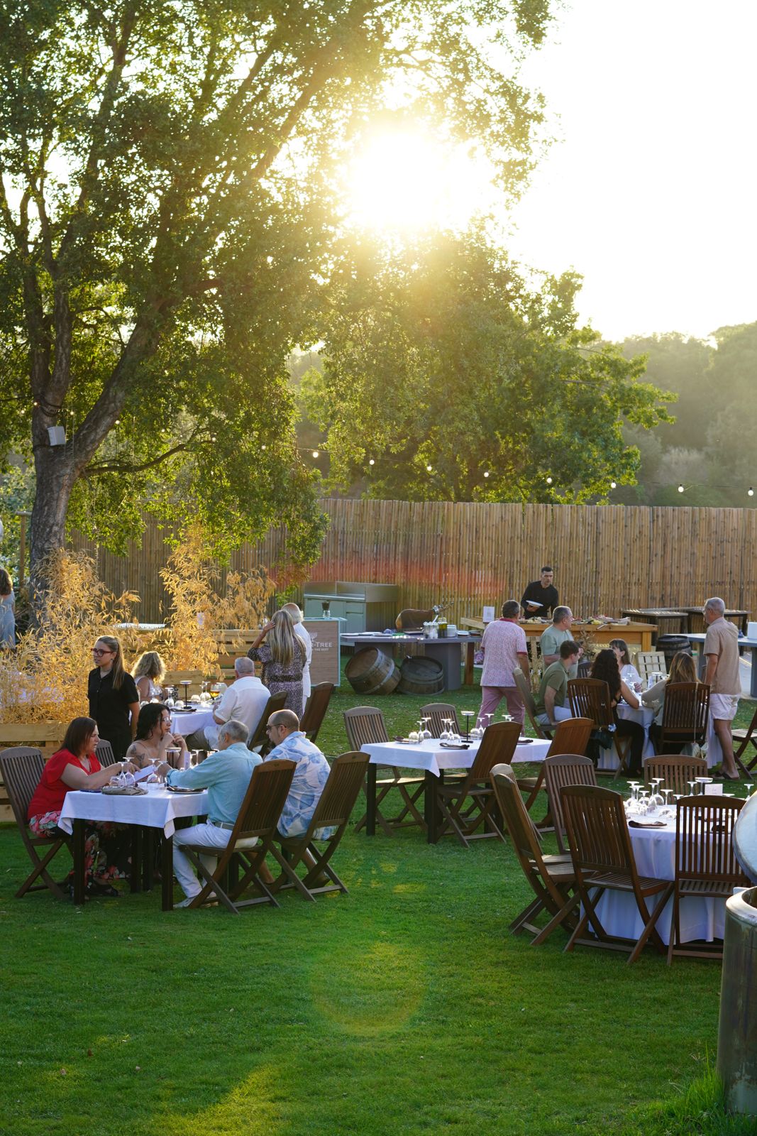 Cena en el jardín de Can Casellas a la hora dorada, con mesas vestidas bajo los árboles